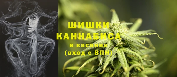 не бодяженный Надым