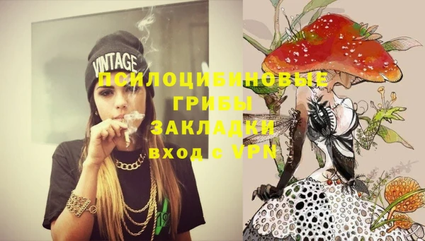 не бодяженный Надым
