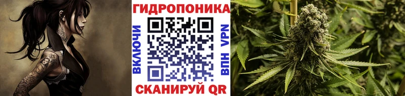 ОМГ ОМГ зеркало  Суоярви  Марихуана Amnesia  как найти  